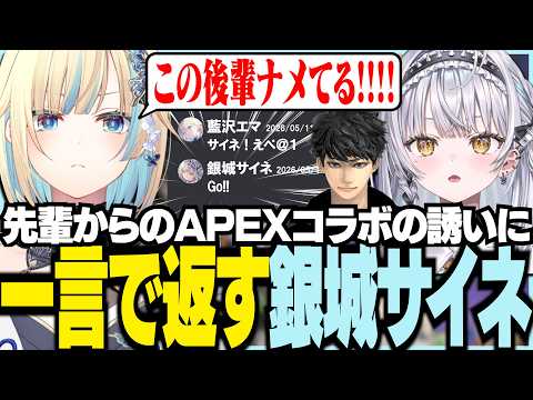 用一句话回复前辈关于APEX合作的邀请，银城赛音【Vspo!/ 藍沢エマ/银城赛音/ハセシン/APEX】