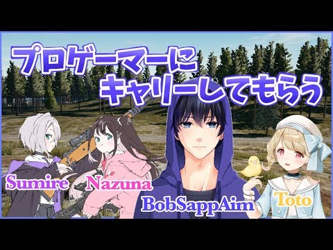 【PUBG】ぷろげーまーにきゃりーされる【VTuber】
