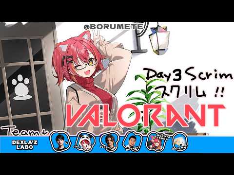【VALORANT】今日もデビクラ杯のスクリム行くぞー【ぶいすぽ / 猫汰つな】