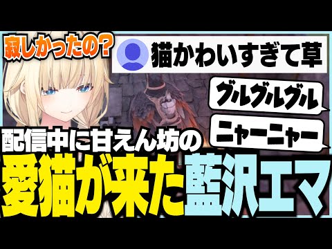 直播中撒嬌的愛貓來了（我們家的孩子們也太可愛了）【Vspo! / 藍沢エマ / ARK / ミドルアイランド】