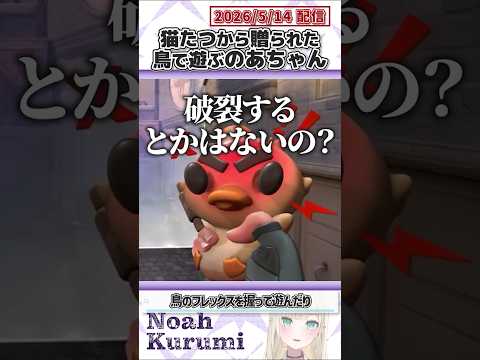 猫たつから贈られた鳥で遊ぶのあちゃん【胡桃のあ/ぶいすぽっ！/VALORANT/切り抜き】#shorts