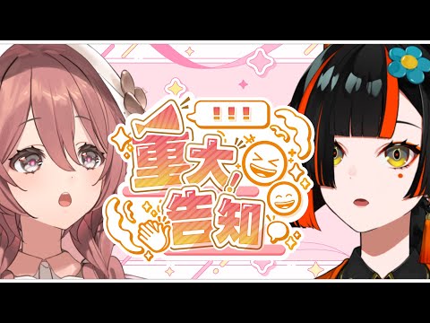 【중요 공지】蝶結び에서 여러분에게 알림이 있습니다! 【Vspo! 모카, 하나비 】