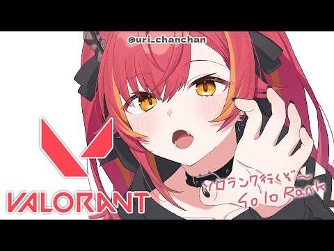 【VALORANT】솔로 컴페 참가할 거야아아아아【Vspo! / Tsuna Nekota】