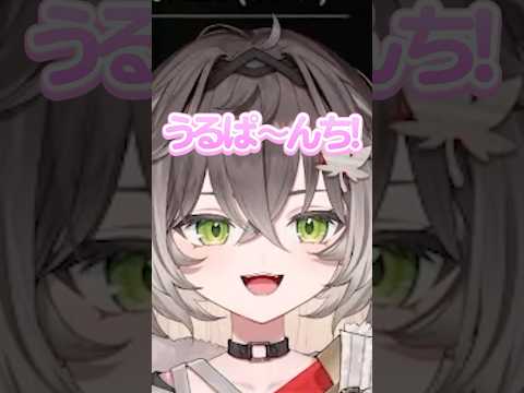【LTK】ちーたまの「うるぱーんち!」 #切り抜き #ぶいすぽ #vtuber #龍巻ちせ #ゆきお