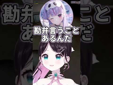 サイネちゃんに辛辣な花芽なずな【花芽なずな/兎咲ミミ/紫宮るな/銀城サイネ】 #ぶいすぽ切り抜き #切り抜き #ぶいすぽ #vtuber