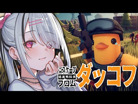 【逃离Duckov】超人气神作游戏！新区域开放！深夜轻松捡垃圾【Sena Asumi/Vspo! Official】