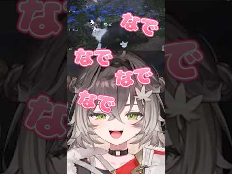 なでなでする、ちーたま【ぶいすぽ/切り抜き】#龍巻ちせ #ぶいすぽ #ぶいすぽ切り抜き