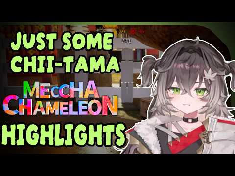 Just some Chise Meccha Chameleon moments and highlights [VSPO!][ENG SUB][MECCHA CHAMELEON]