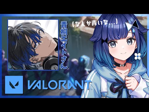 【VALORANT】帕桑双人组加油加油【ぶいすぽっ！ / 紡木こかげ】