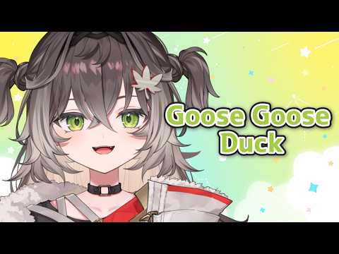 ◤ Goose Goose Duck ◢　CCメンバーと3次会するぞ～！   ◤ぶいすぽっ！ #龍巻ちせ ⁠◢