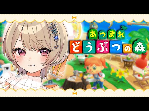 【 あつまれ どうぶつの森 】ニー島、始動。【 ぶいすぽっ！ / 小森めと 】